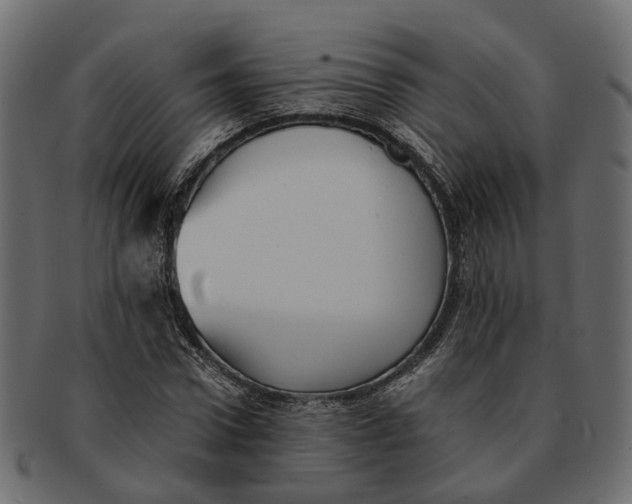 X0000091540922200709071101