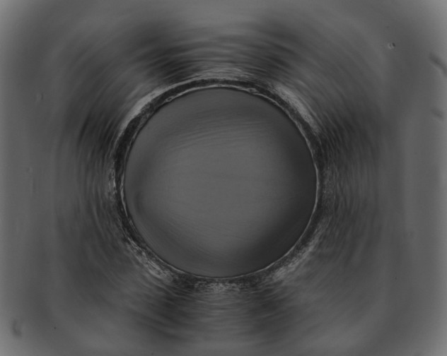 X0000091540923200709071101