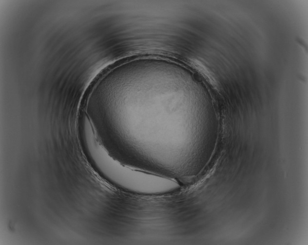 X0000091540924200709071101