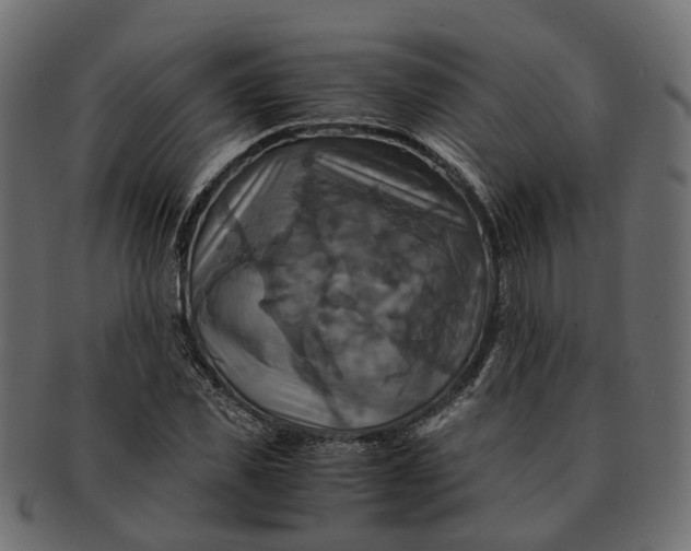 X0000091540925200709071101