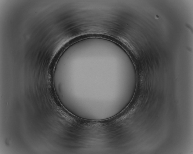 X0000091540926200709071101