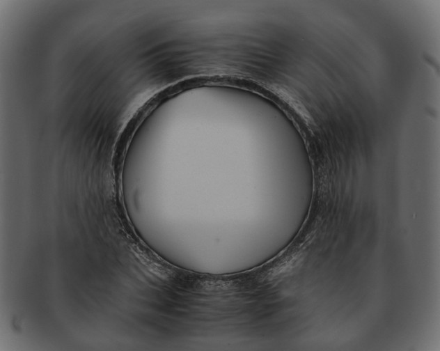 X0000091540927200709071101