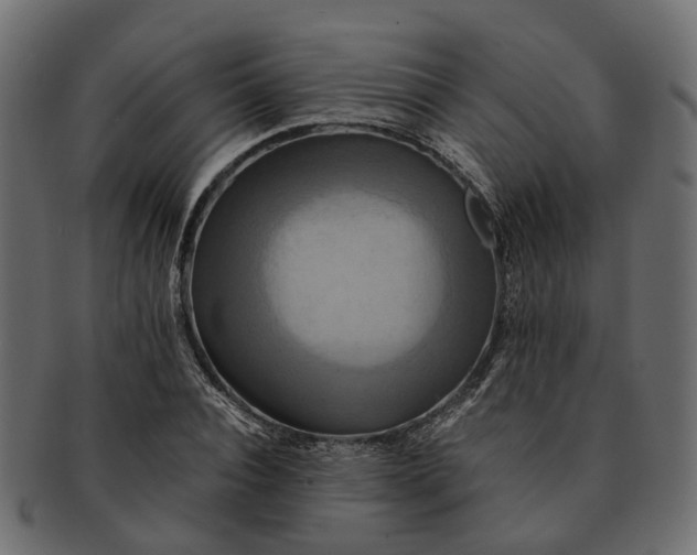 X0000091540928200709071101