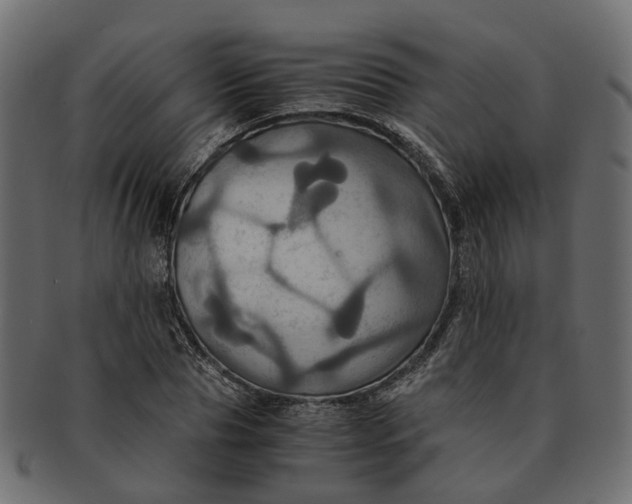 X0000091540929200709071101