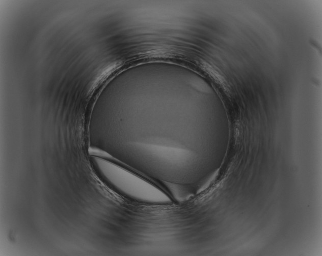 X0000091540930200709071101