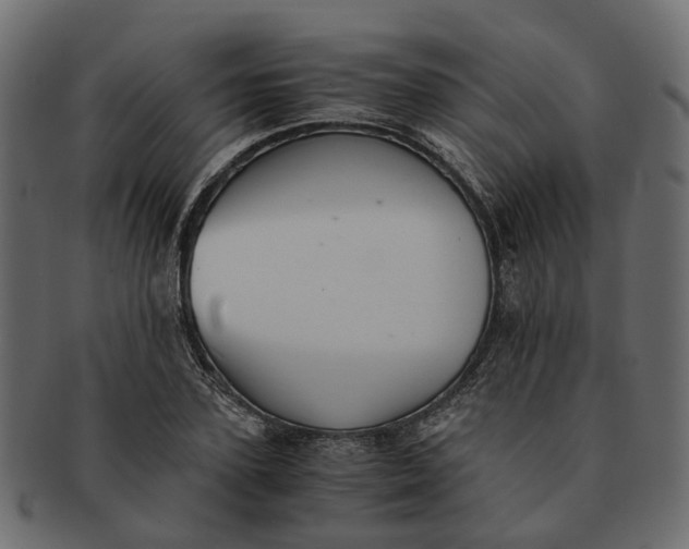 X0000091540931200709071101