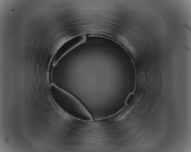 X0000091540932200709071101