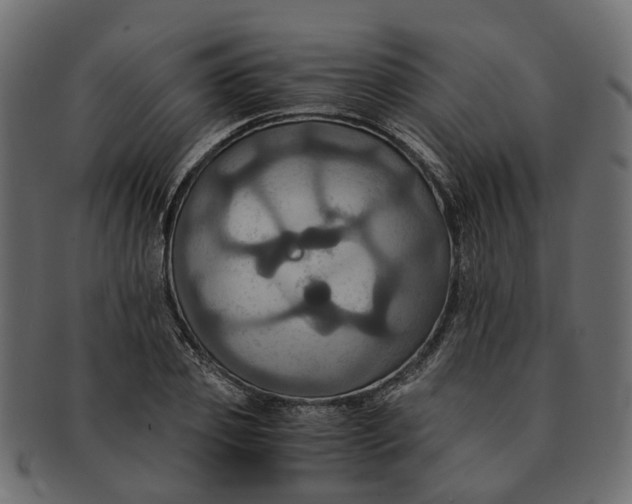 X0000091540933200709071101