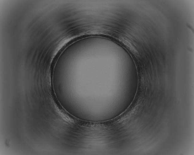 X0000091540934200709071101