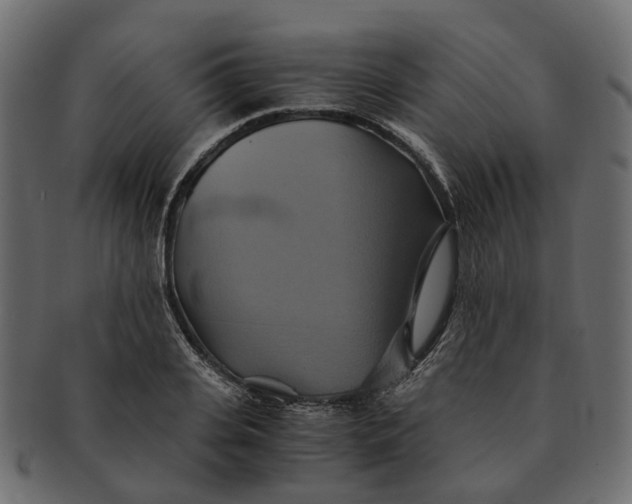 X0000091540935200709071101