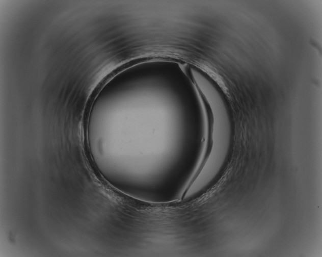 X0000091540936200709071101