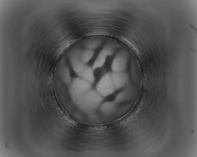 X0000091540937200709071101