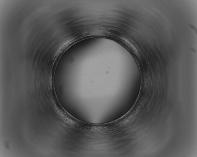 X0000091540938200709071101