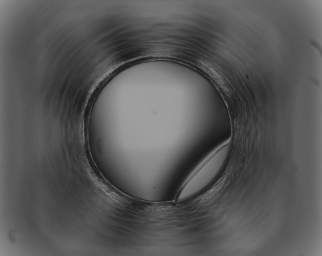 X0000091540939200709071101