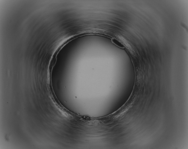 X0000091540940200709071101