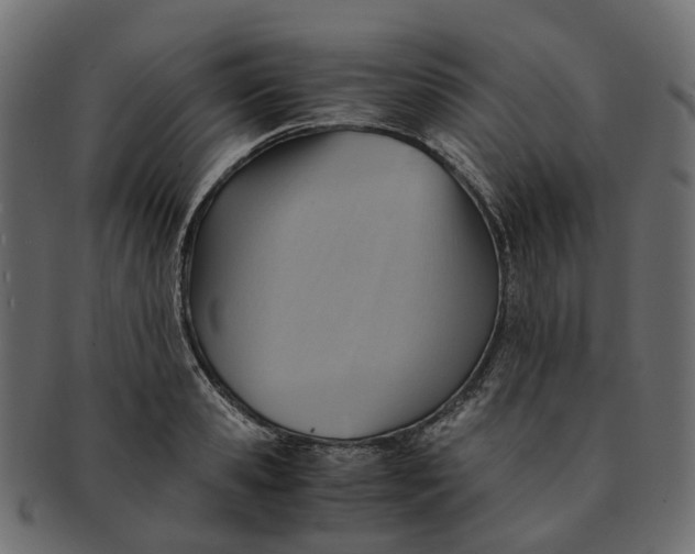 X0000091540941200709071101