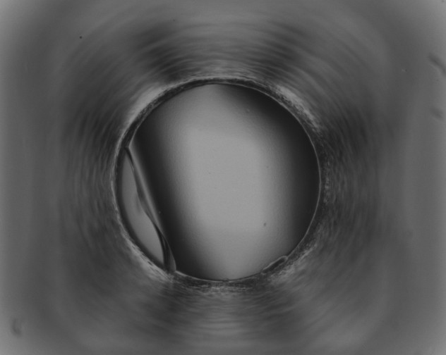 X0000091540942200709071101