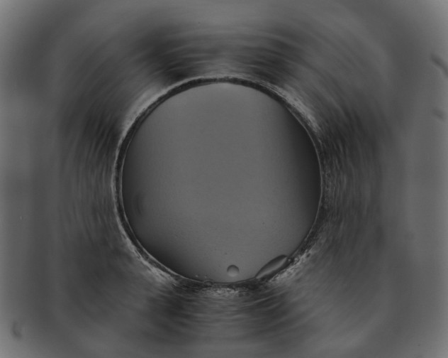 X0000091540943200709071101