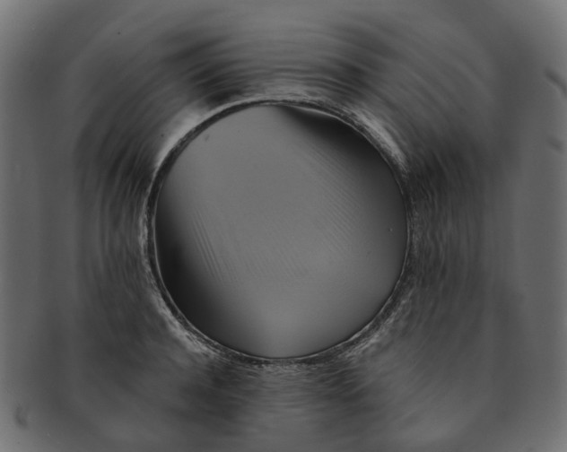 X0000091540944200709071101