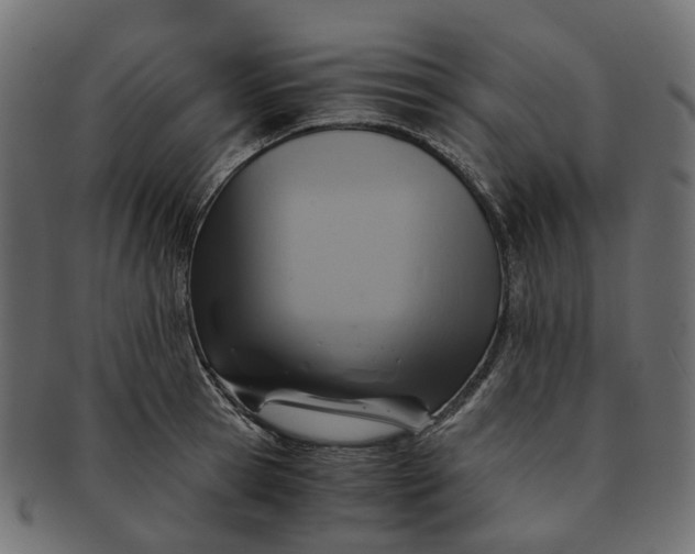 X0000091540945200709071101