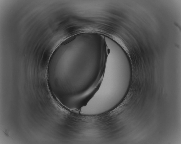 X0000091540946200709071101