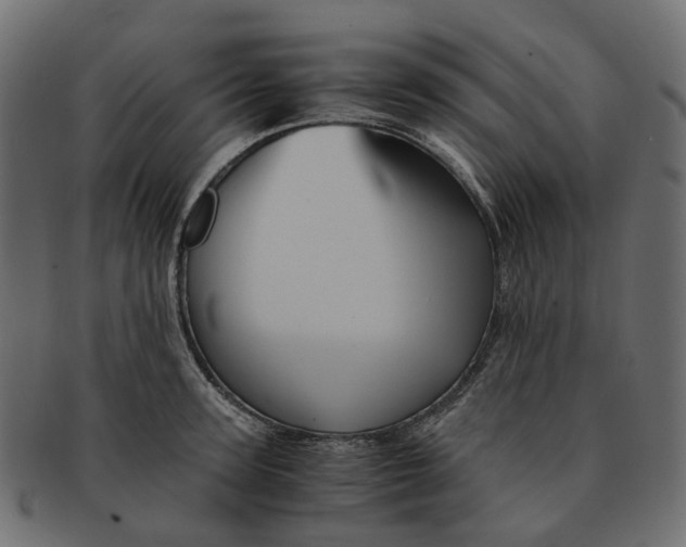 X0000091540947200709071101