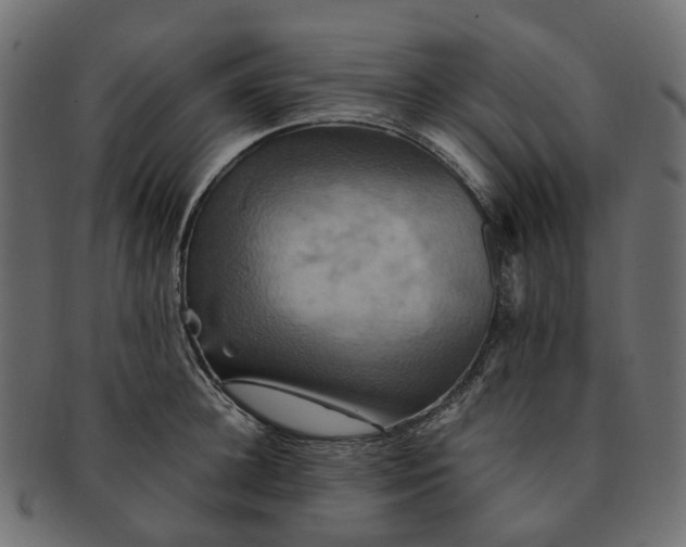 X0000091540948200709071101