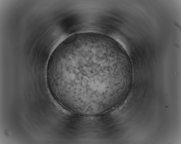 X0000091540949200709071101