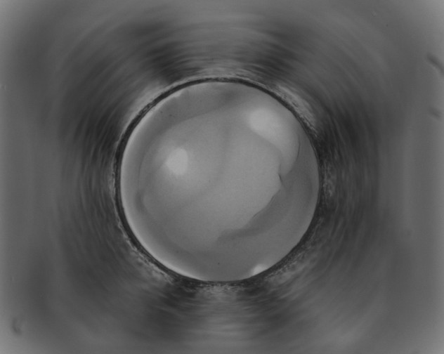 X0000091540950200709071101