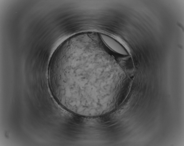 X0000091540951200709071101