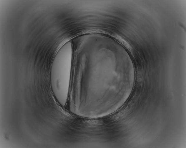 X0000091540953200709071101