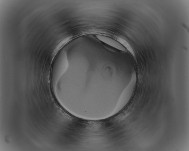 X0000091540954200709071101