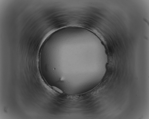 X0000091540955200709071101