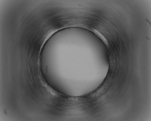 X0000091540956200709071101