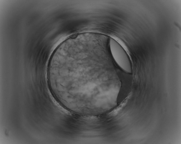 X0000091540957200709071101