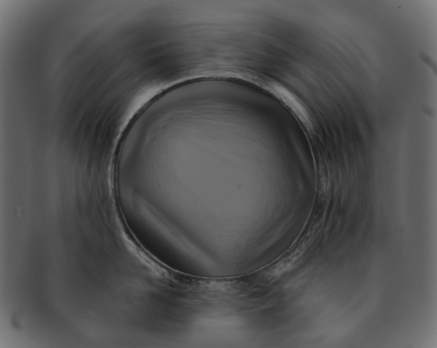 X0000091540958200709071101