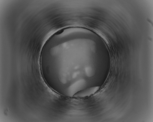 X0000091540959200709071101