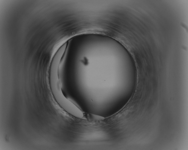 X0000091540960200709071101