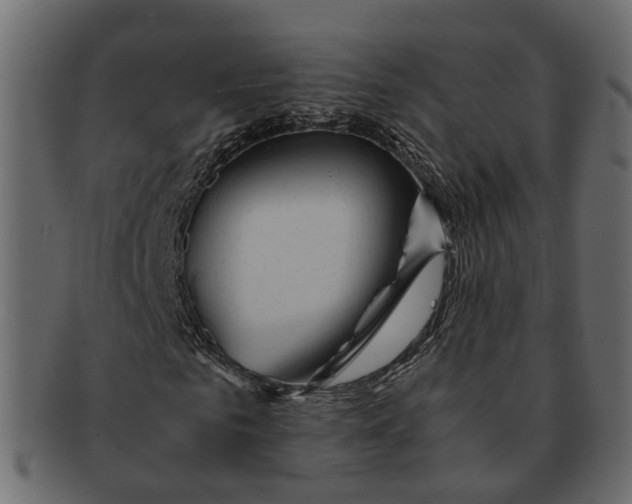 X0000091540961200709071100