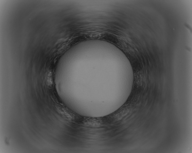 X0000091540962200709071100