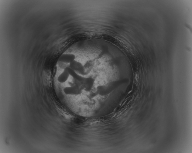 X0000091540963200709071100