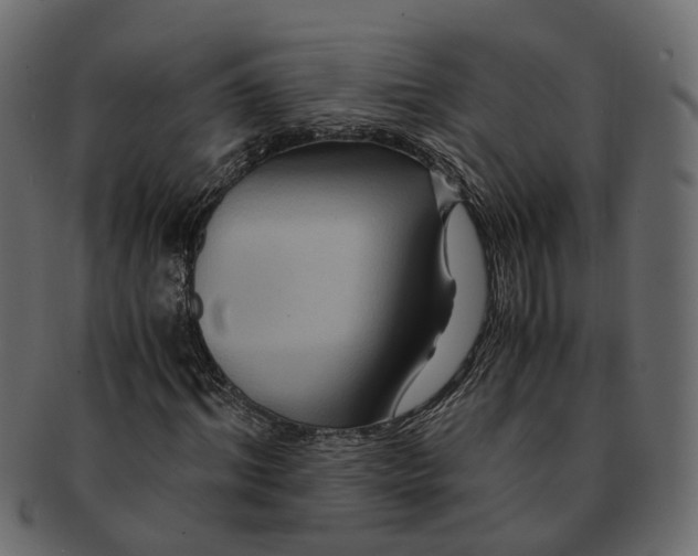 X0000091540964200709071100