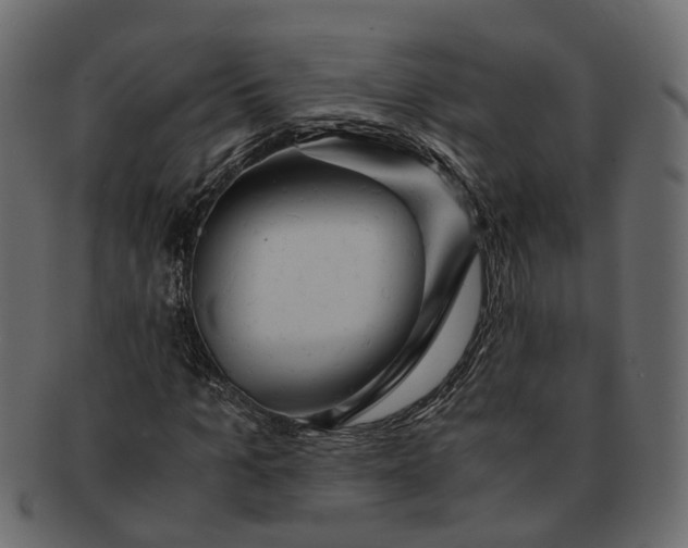 X0000091540965200709071100