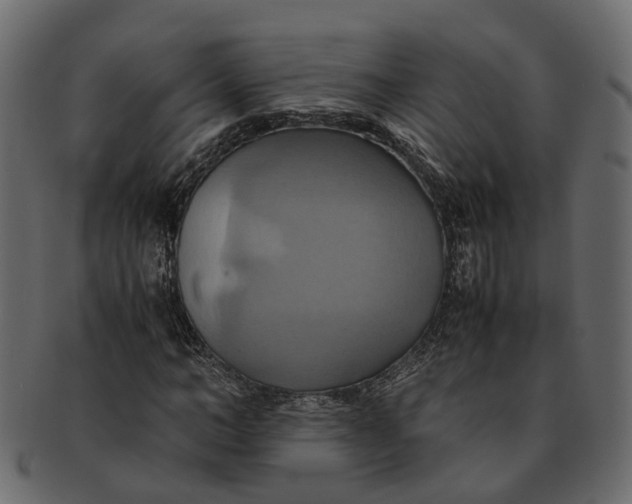 X0000091540966200709071100