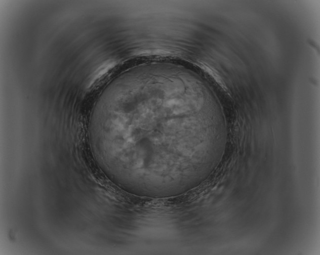 X0000091540967200709071100