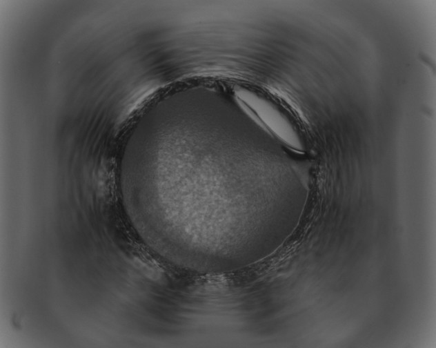 X0000091540968200709071100