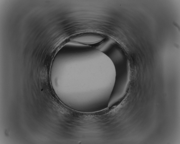 X0000091540969200709071100