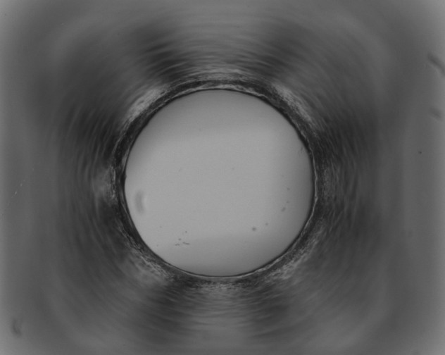 X0000091540970200709071100