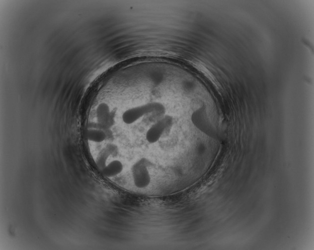 X0000091540971200709071100