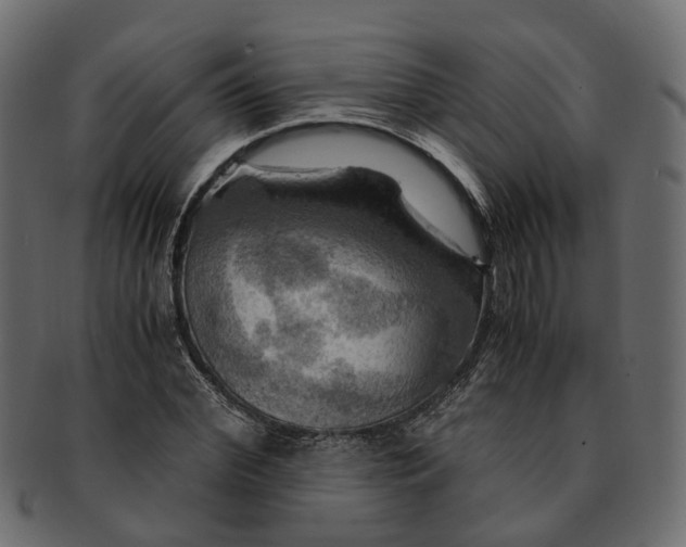 X0000091540972200709071100